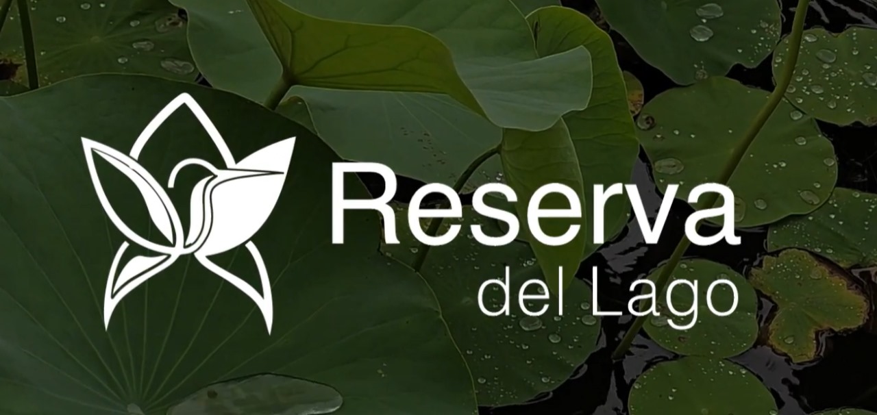 Proyectos residenciales
